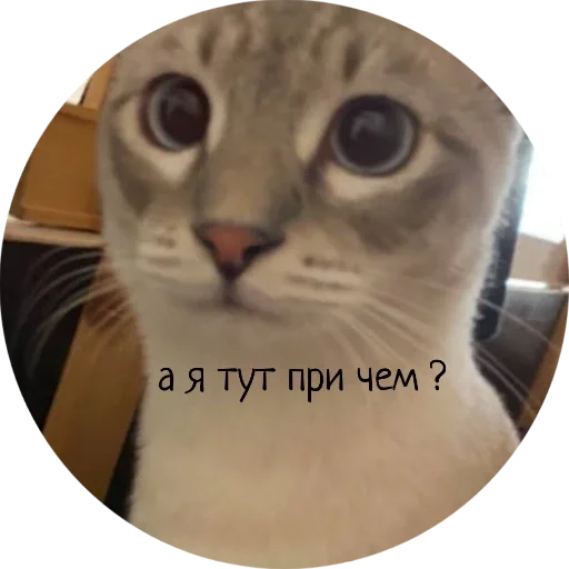 Стикер Джеки Чан - 4