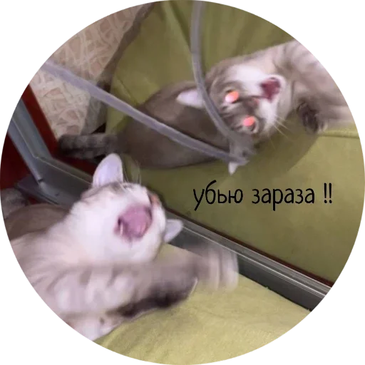 Стикер Джеки Чан - 3