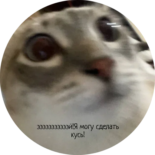 Стикер Джеки Чан - 2