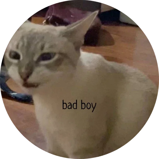 Стикер Джеки Чан - 0