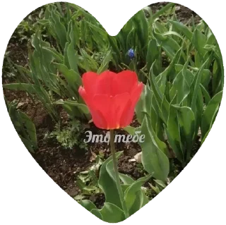 Sticker Привет - 2