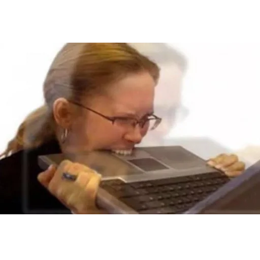 person computer laptop