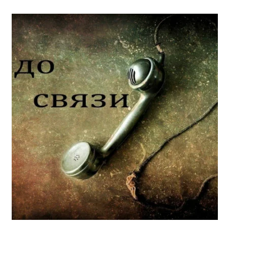 text still life photography