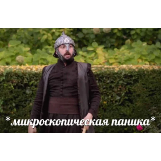 одежда на открытом воздухе дерево