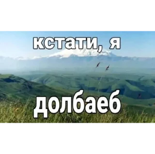 Стикер прекольчеке - 4