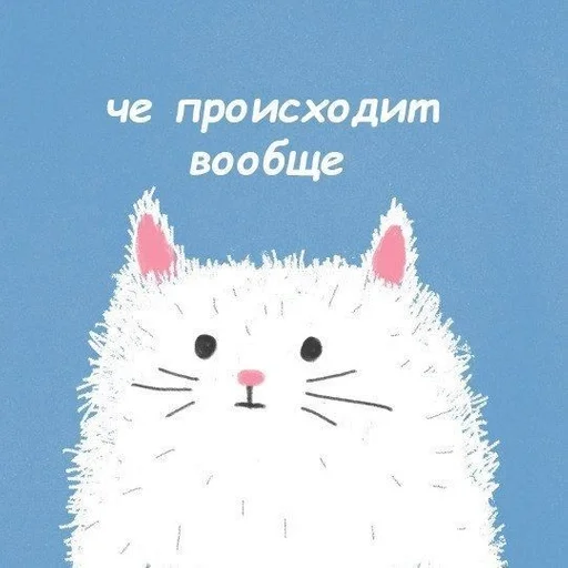 кошка СМС животное