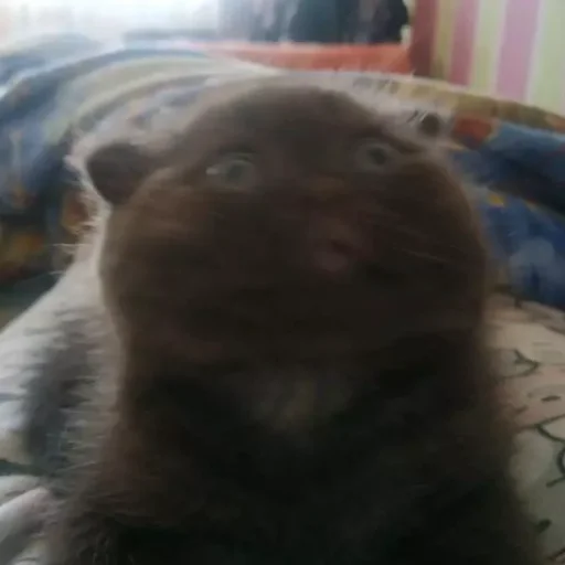 Sticker eddyyiitss - 1