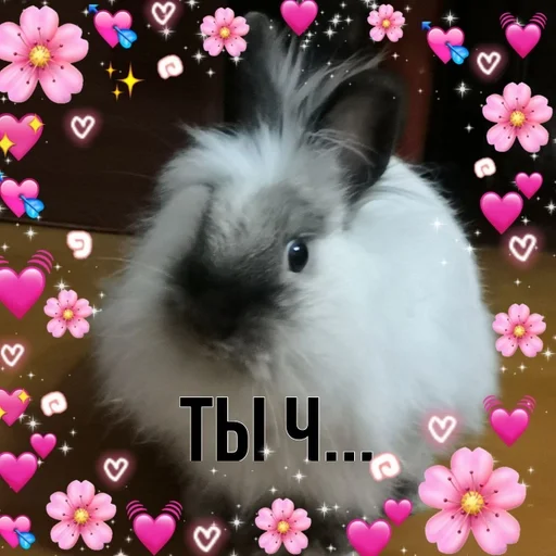 animal mammal rabbit