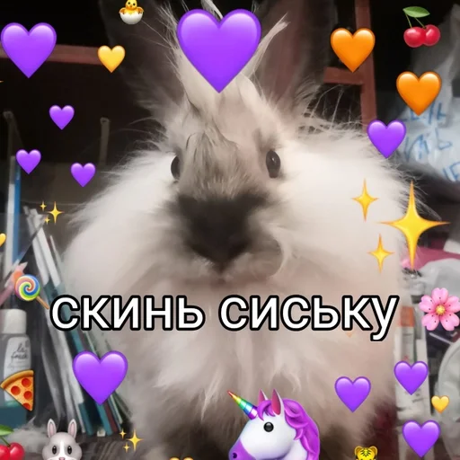 mammal bunny rabbits and hares