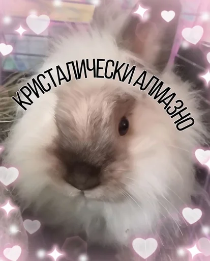 Эдикboy :: @fStikBot - animal