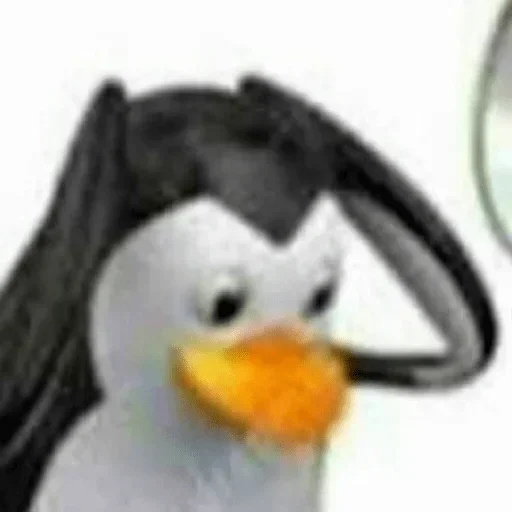 водная птица птица пингвин