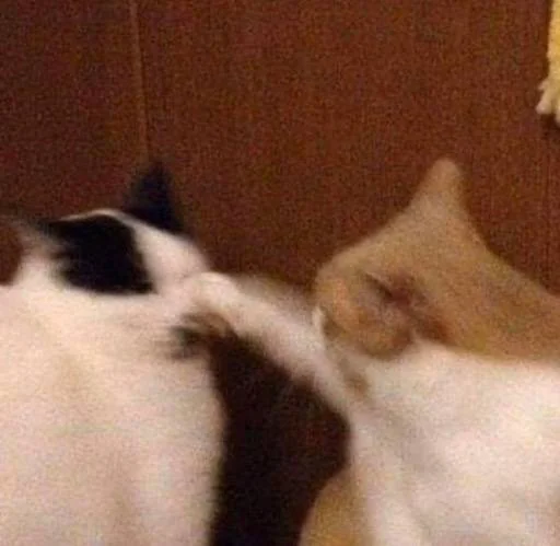 Sticker edsheeranisthebest - 1