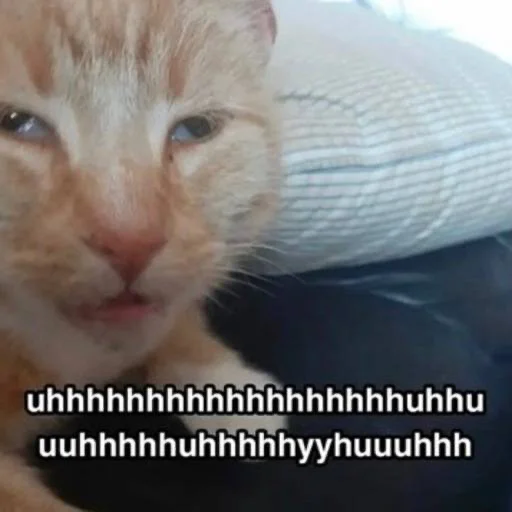 Sticker edsheeranisthebest - 1