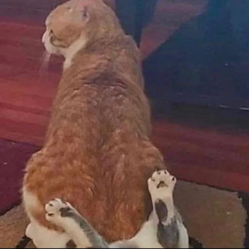 Sticker edsheeranisthebest - 1