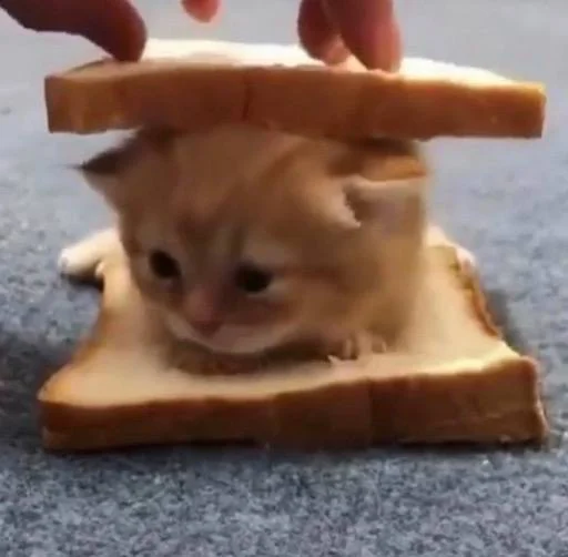 Sticker edsheeranisthebest - 1