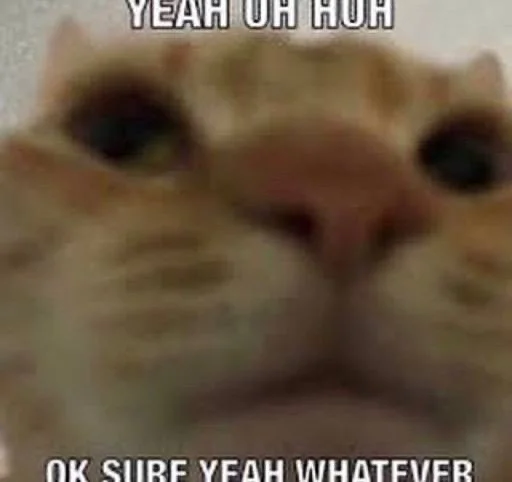 Sticker edsheeranisthebest - 1