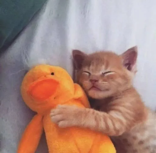 Sticker edsheeranisthebest - 1