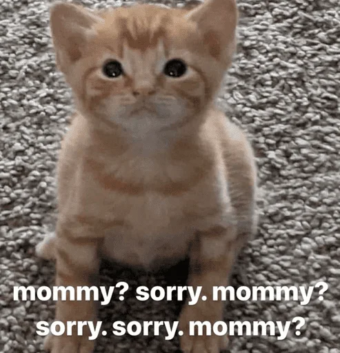 Sticker edsheeranisthebest - 1