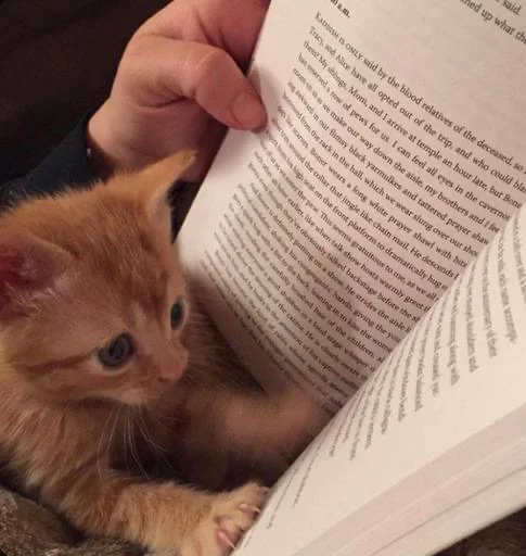 Sticker edsheeranisthebest - 1