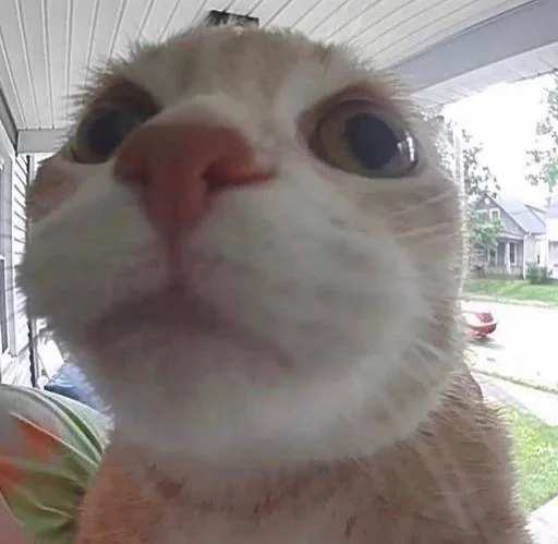 Sticker edsheeranisthebest - 1