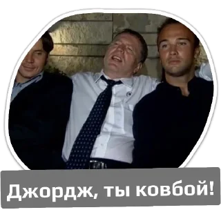 Sticker Жириновский - 1