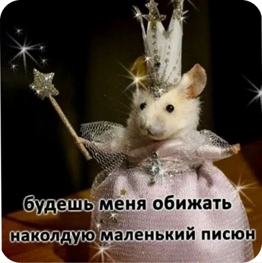 млекопитающее животное комнатный