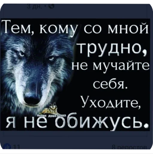 СМС собака животное