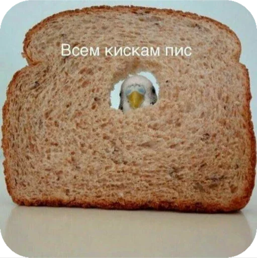 хлеб пища выпечка