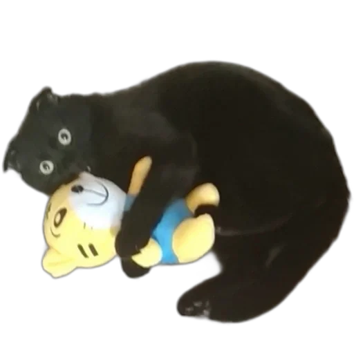 Sticker ee982069_f95e_4551_8dfa_65e61ace6c1e_by_sticat_bot - 1