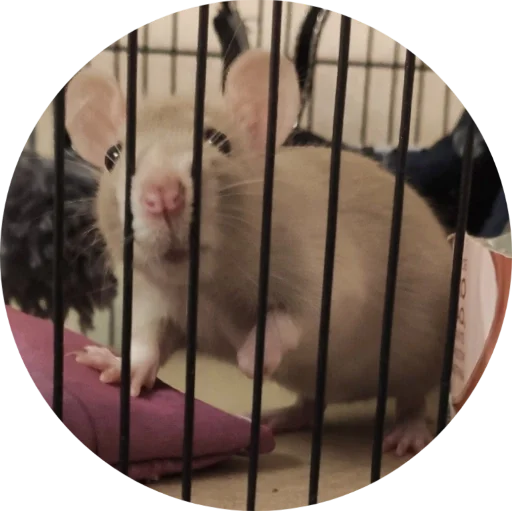 Стикер ee982069_f95e_4551_8dfa_65e61ace6c1e_by_sticat_bot - 1