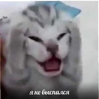 Стикер ееееее - 1