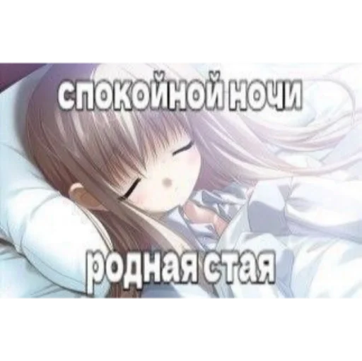 Sticker ef0c01be_3de1_45ae_bf61_b3eb2464137d_by_sticat_bot - 1