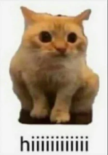 Стикер effed up cats - 3