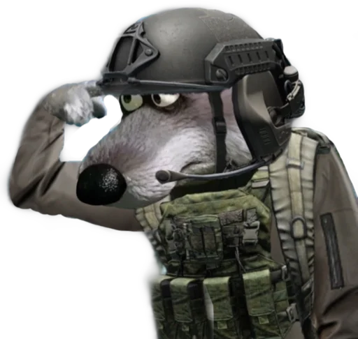 personal protective equipment helmet wearing