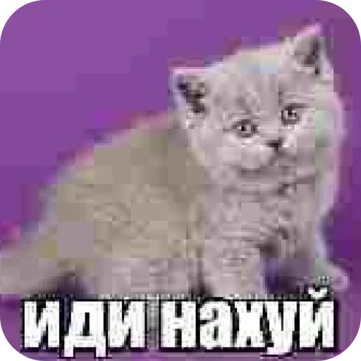 Стикер efvliFk_by_achestickbot - 1