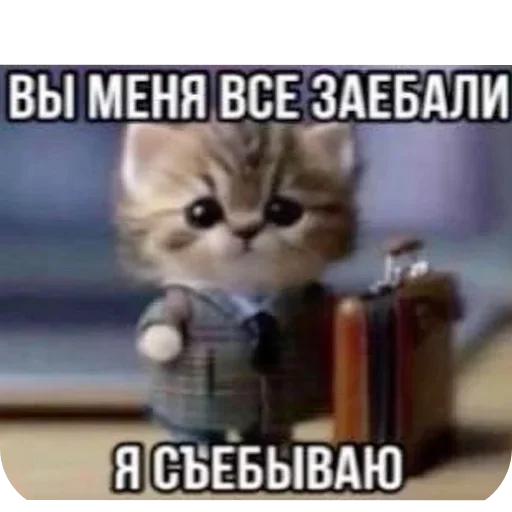 Sticker efvliFk_by_achestickbot - 1