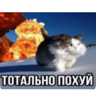 Sticker Больше стиков тут: @stikery4 - 4