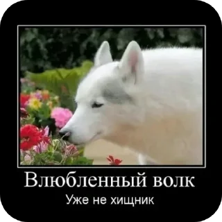 Sticker Больше стиков тут: @stikery4 - 2