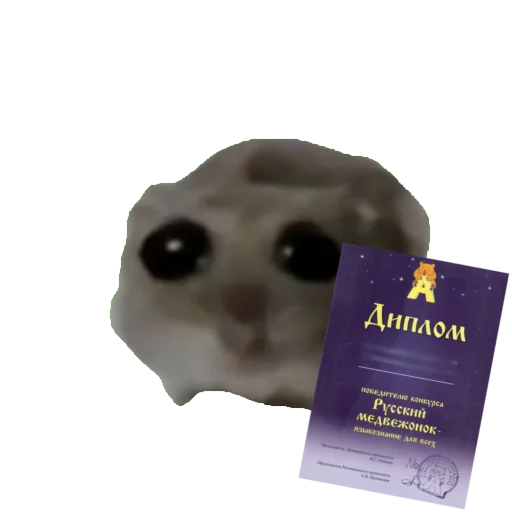 Стикер ege2024ege - 1