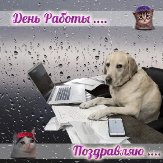 Стикер Сливы курсов ЕГЭ - @EgeNikbot - 6