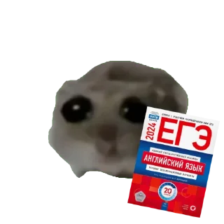 Стикер Сливы курсов ЕГЭ - @EgeNikbot - 7