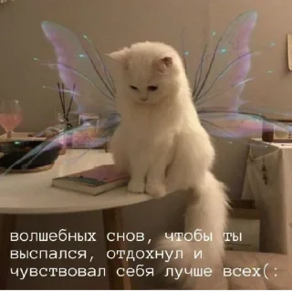 Стикер Сливы курсов ЕГЭ - @EgeNikbot - 1