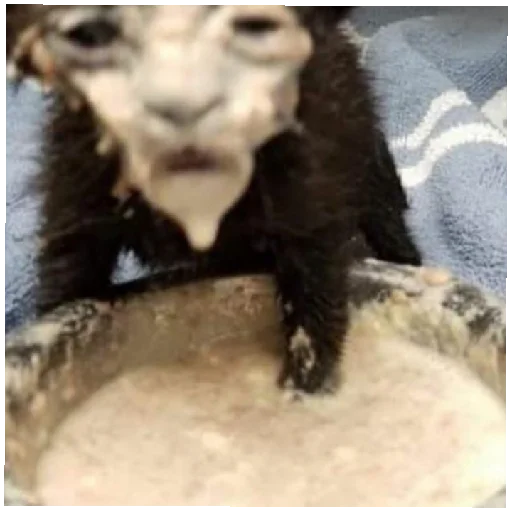 4В РУЛИТ🇷🇺 - 