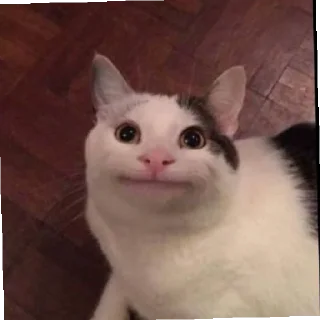 Sticker 4В РУЛИТ🇷🇺 - 0