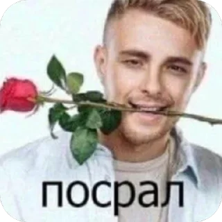 Sticker egoriyaa - 3