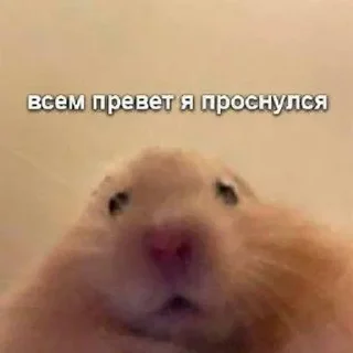 Стикер 💕Стики тут: @sekstick - 6