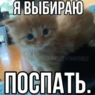 Стикер 🎧 - 7