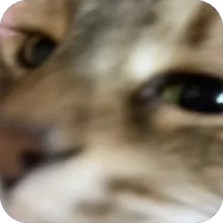 Стикер 🎧 - 5