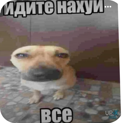 Стикер ehm8055 - 1