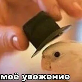 Sticker Больше стикеров: @sticerru - 7